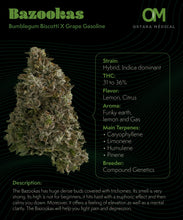 Charger l'image dans la galerie, Bazookas-02