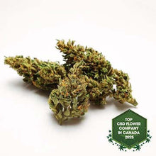 Charger l'image dans la galerie, The Ambassador Infused CBD Flower-01