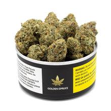 Charger l'image dans la galerie, Mendoz Stomper-01