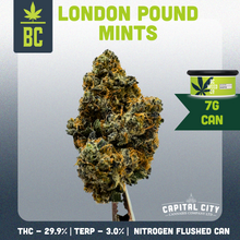 Load image into Gallery viewer, London Mints-02