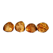 Load image into Gallery viewer, Atlas Fog OG Feminized Autoflower Seeds-01