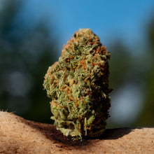 Charger l'image dans la galerie, Saltspring Love Haze-01