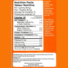 Charger l'image dans la galerie, Gummy Candy Making Kit - Mega Mango-02