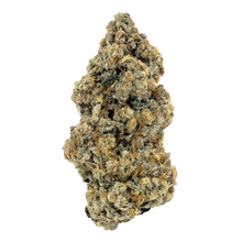 Load image into Gallery viewer, Glade Runner-01