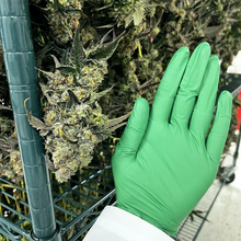 Charger l'image dans la galerie, Sunset Overdrive-03