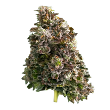 Charger l'image dans la galerie, Bazookas-01