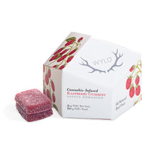 Charger l'image dans la galerie, Real Fruit Raspberry Gummies-02