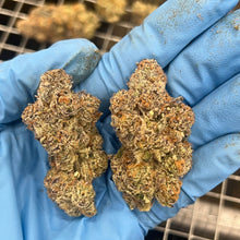 Charger l'image dans la galerie, Strawberry Falcon-05