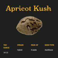 Load image into Gallery viewer, Apricot Kush-02