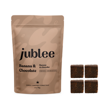 Load image into Gallery viewer, Banana & Chocolate CBD Fruit Bites-01