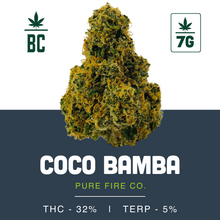Load image into Gallery viewer, Coco Bamba-03