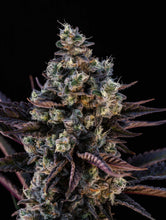 Charger l'image dans la galerie, Crunch Berries-07