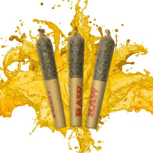 Charger l'image dans la galerie, Dab Bods Diesel Kush Resin Infused Pre-Rolls-01