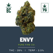 Load image into Gallery viewer, Envy-03