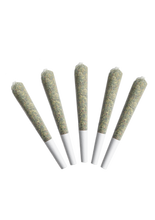 Charger l'image dans la galerie, PLPK Pre-rolls-02