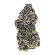 Charger l'image dans la galerie, Gastro Pop-01