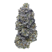 Charger l'image dans la galerie, Jager-01