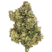 Charger l'image dans la galerie, Khalifa Mints-01