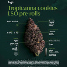 Charger l'image dans la galerie, Tropicanna Cookies Pre-Rolls-03