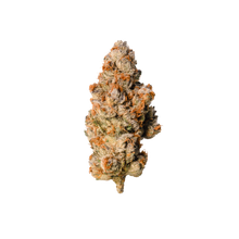 Charger l'image dans la galerie, Gumi-02