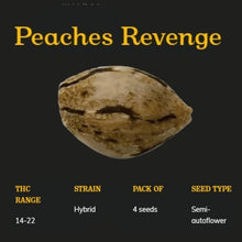 Charger l'image dans la galerie, Peach's Revenge Semi-Auto Seeds-02