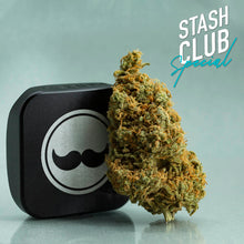 Charger l'image dans la galerie, Stash Club Double Dream-02