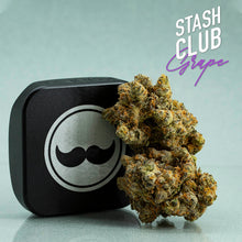 Load image into Gallery viewer, Stash Club Grape-02