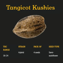 Load image into Gallery viewer, Tangicot Kushies Semi-Auto Seeds-02