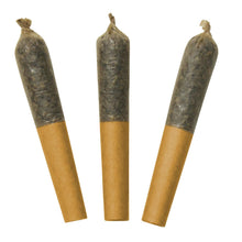 Load image into Gallery viewer, Dab Bods Hawaiian Plusher 60's+ Dbl Infused Pre-Rolls-03