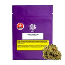 Charger l'image dans la galerie, 1st Quarter-01