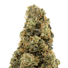 Charger l'image dans la galerie, Animal Face-03