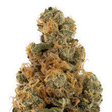 Charger l'image dans la galerie, Baby Yoduh-03