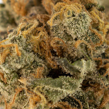 Charger l'image dans la galerie, Baby Yoduh-04