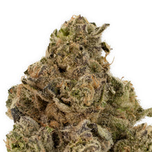 Charger l'image dans la galerie, Chatter Box-03