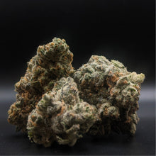 Charger l'image dans la galerie, AAAA Cheerioz-02