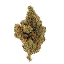 Load image into Gallery viewer, Tranquil Elephantizer-01