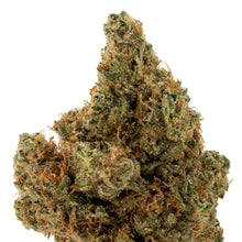 Charger l'image dans la galerie, Tranquil Elephantizer-02