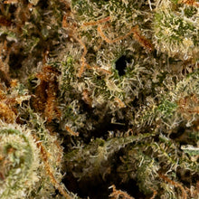 Charger l'image dans la galerie, Tranquil Elephantizer-03