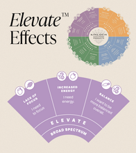 Charger l'image dans la galerie, Elevate™- CBD Blackberry Lemon Gummy Drop-07