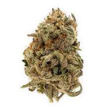 Charger l'image dans la galerie, Grape Pupil-01