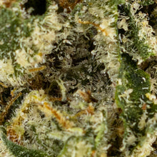 Charger l'image dans la galerie, Grape Stank-04