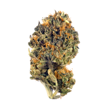 Charger l'image dans la galerie, Grease Monkey-02