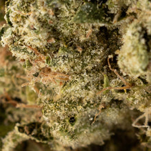 Load image into Gallery viewer, Hippie Headbanger-03