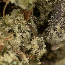 Charger l'image dans la galerie, Nighttime Nirvana - Jelly Breath-04