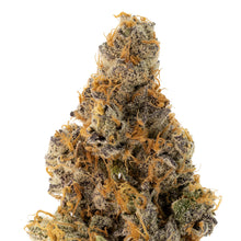 Charger l'image dans la galerie, King Sherb-02