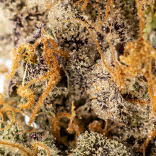 Charger l'image dans la galerie, King Sherb-03