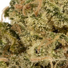 Charger l'image dans la galerie, Kosmic Kush-03