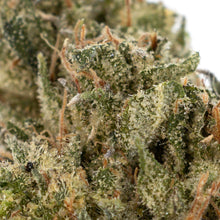 Charger l'image dans la galerie, Kruntz-03