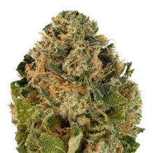 Charger l'image dans la galerie, Licorice Gumball-02