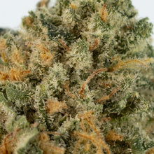 Charger l'image dans la galerie, Licorice Gumball-04